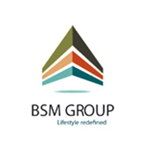 BSM Group logo