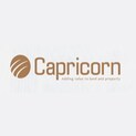 Capricorn Group Pune Logo