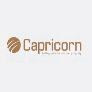 Capricorn Group Pune Developer Logo