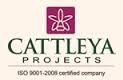 Cattleya Logo