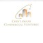 Chintamani Commercial Ventures
