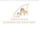 Chintamani Commercial Ventures