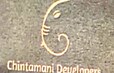 Chintamani Developer Developer Logo