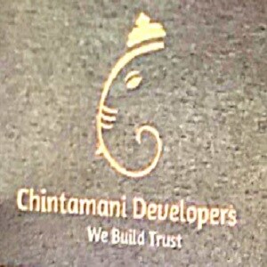 Chintamani Developer developer logo