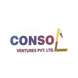 Consol Ventures Pvt Ltd
