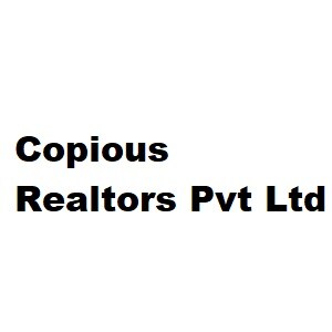 Copious Realtors Pvt Ltd Developer Logo