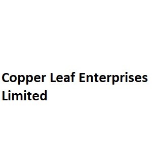 Copper Leaf Enterprises Limited developer logo