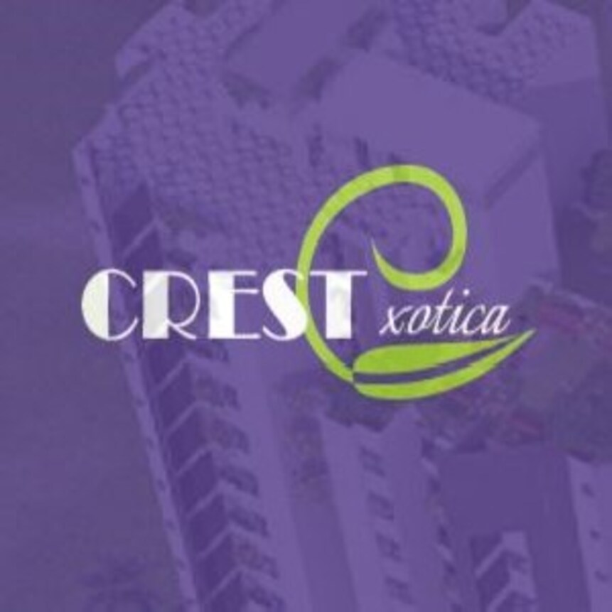 Crest Realcon Group