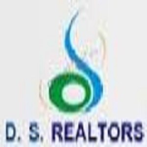D S developer logo
