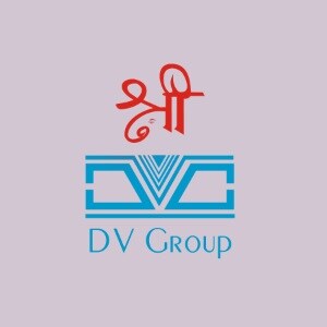 D V Group Developer Logo