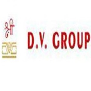 D V Group