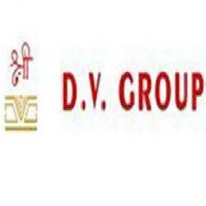 D V Group Developer Logo