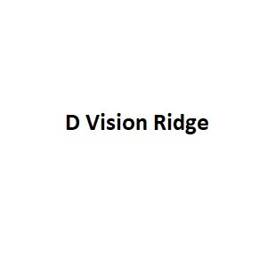 D Vision Ridge logo