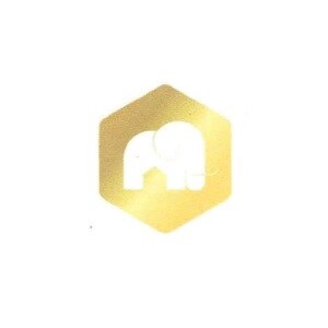 Daiwik Aakar Infradev developer logo