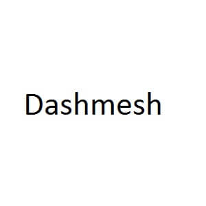 Dashmesh Developer Logo