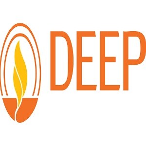 Deep Group developer logo