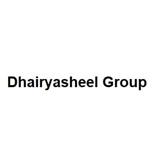 Dhairyasheel Group developer logo