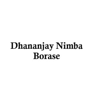 Dhananjay Nimba Borase Developer Logo