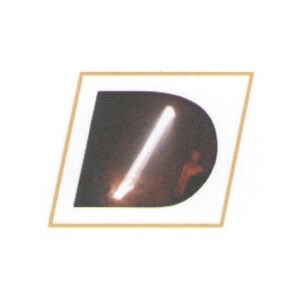 Dhariya Construction Pvt Ltd Developer Logo