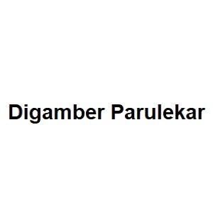 Digamber Parulekar Developer Logo