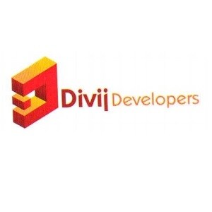 Divij Developers developer logo