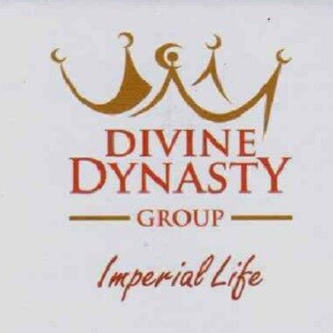 Divine Dynasty Group Developer Logo