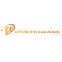Divine Enterprises Logo