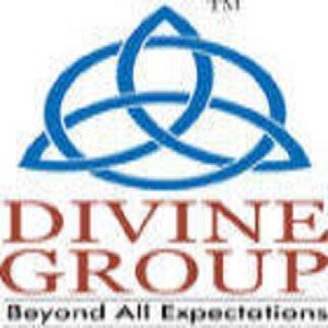 Divine Group logo