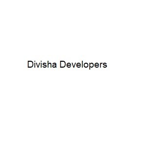 Divisha Developers developer logo
