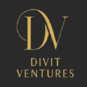 Divit Ventures Developer Logo