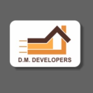 DM Developers logo