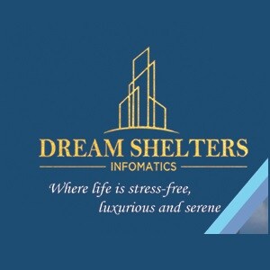 Dream Shelters Infomatics developer logo