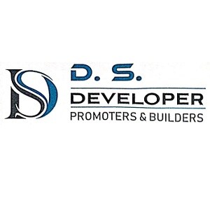 DS Developer Logo
