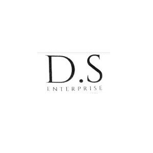 DS Enterprises logo