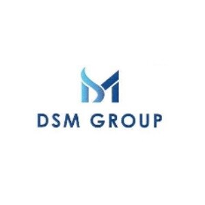 DSM Group Developer Logo