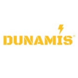 Dunamis Lifespace Pvt Ltd developer logo