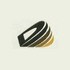 Durvankur Developers Developer Logo