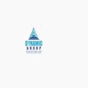 Dynamic Group logo