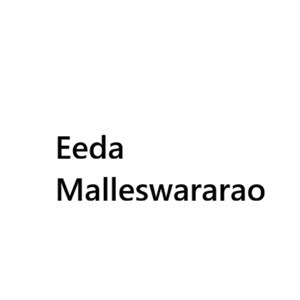 Eeda Malleswararao developer logo