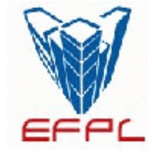 Eminent Foundations Pvt Ltd developer logo