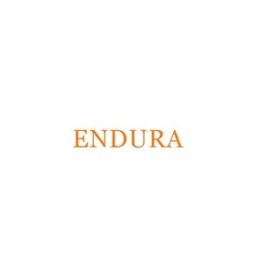 Endura Soft Solutions Developer Logo