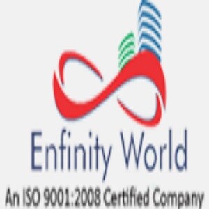 Enfinity World Developer Logo