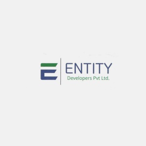 Entity Developers