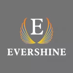 Evershine Dwellings Pvt Ltd logo