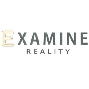 Examine Reality developer logo