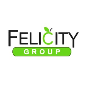 Felicity Concepts Pvt Ltd logo