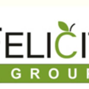Felicity Group logo