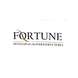 Fortune Developers And Infrastructures