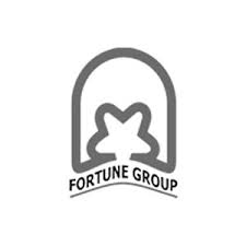 Fortune developer logo