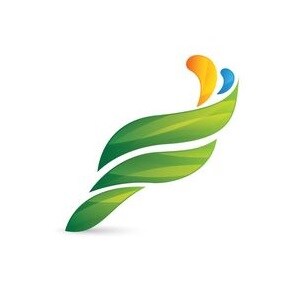 Fuerzaa Group Developer Logo